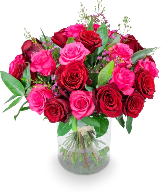 RED CLAIR_VELKA_IMG_1532_eRGB.png